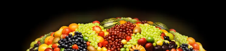 24-hours moon diet 24-hours moon diet