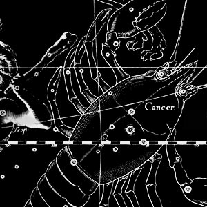 Cancer The Zodiac